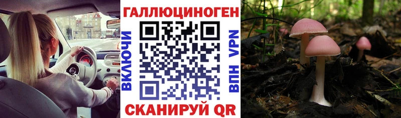 Псилоцибиновые грибы ЛСД  где найти наркотики  Воткинск 